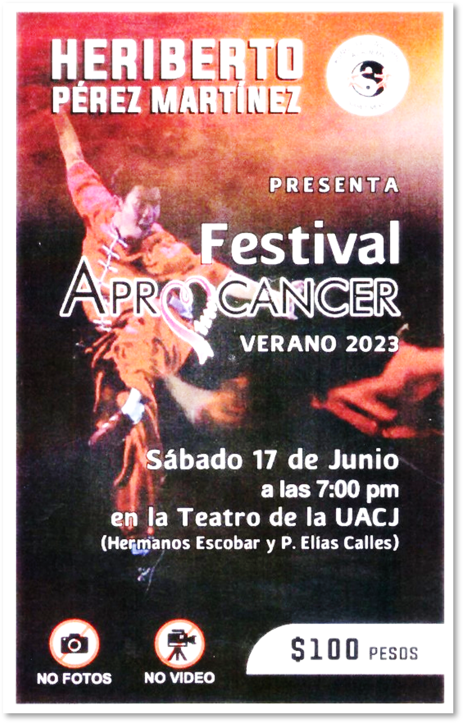 poster de Festival de Artes marciales