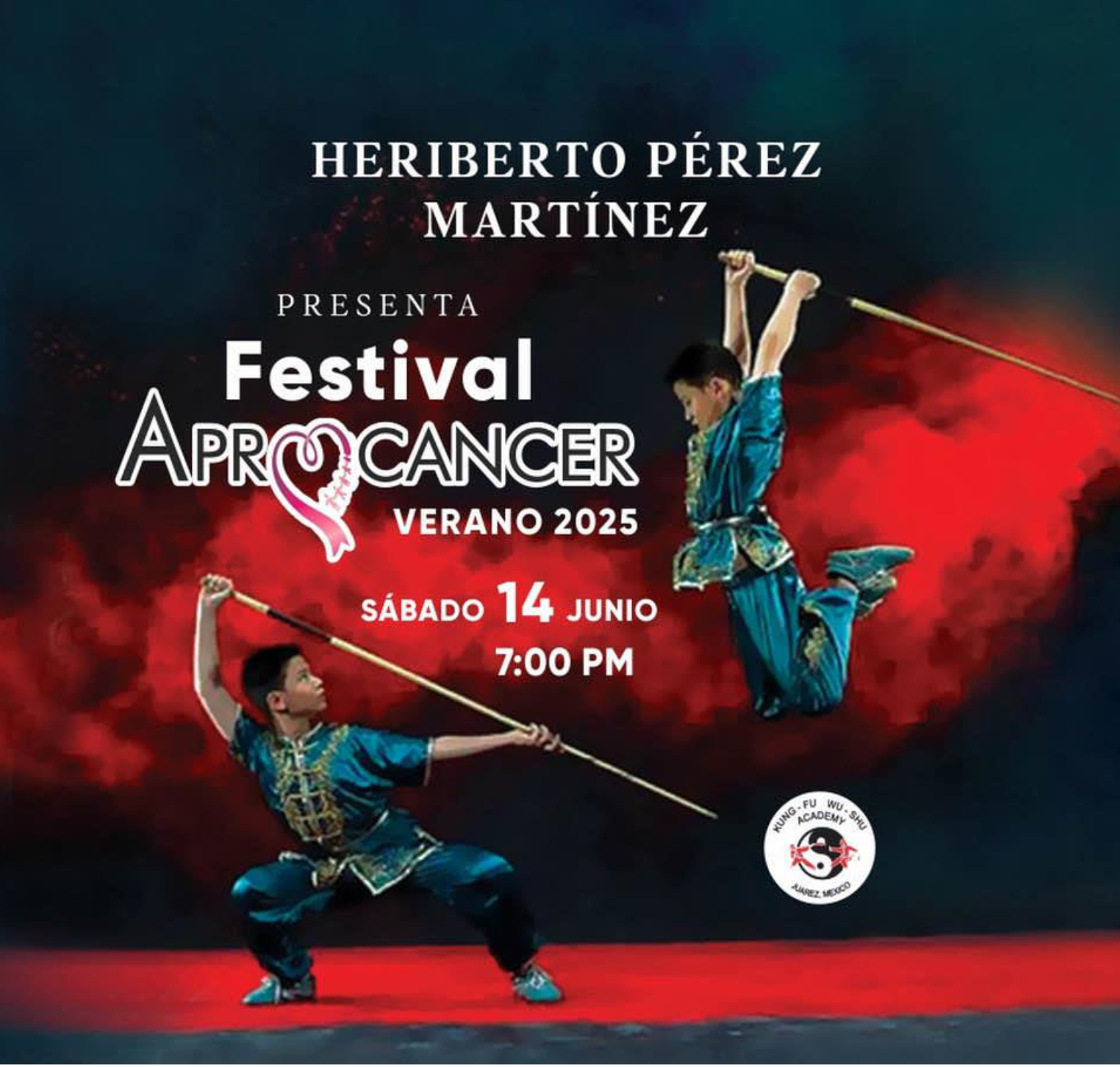 poster de Festival de Artes marciales